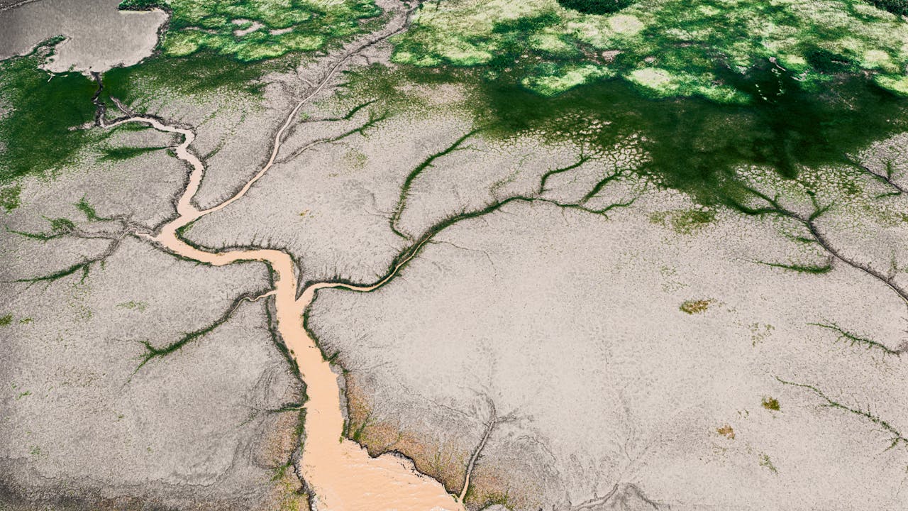 Aerial shot showcasing a river delta surrounded by vibrant greenery and algae.