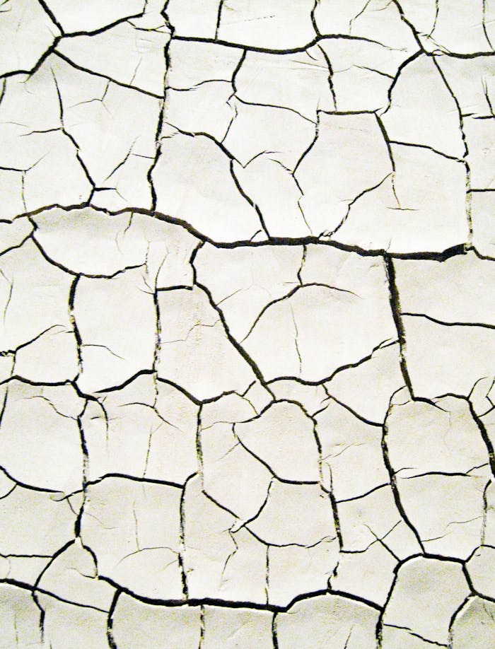 team-04 Close-up of cracked, dry earth surface, showcasing texture and drought conditions.